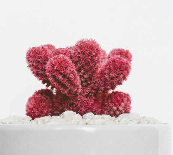 轰炸手机短信网站